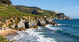 surfing and wine tour