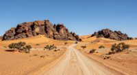 wild namibia self drive adventure