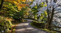 year round ardennes scenic route