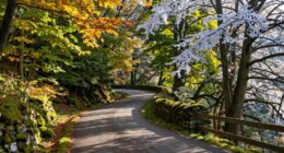 year round ardennes scenic route