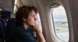 Ryanair Window Incident