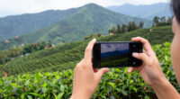 Doi Mae Salong, Chiang Rai, Thailand Surges In Global Coverage
