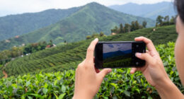 Doi Mae Salong, Chiang Rai, Thailand Surges In Global Coverage