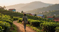Mae Salong, Chiang Rai, Thailand Surges In Global Coverage
