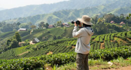 Mae Salong, Chiang Rai, Thailand Surges In Global Coverage