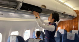 Japan Airlines Surges In Global Coverage